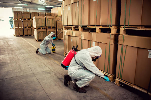 Best Wildlife Control Services  in Mentone, CA