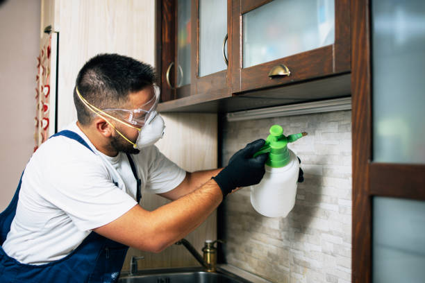 Best Pest Control Near Me  in Mentone, CA