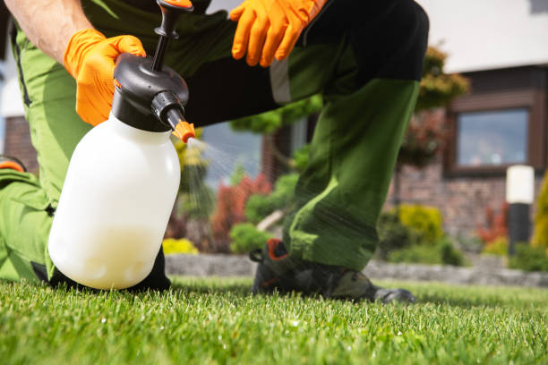 Best Best Pest Control Companies  in Mentone, CA