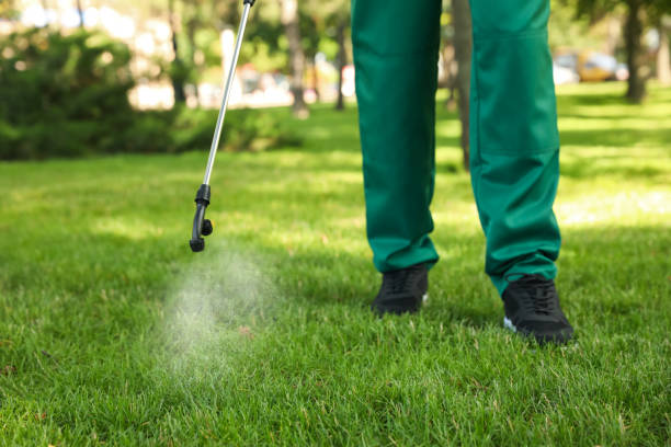Best Bed Bug Extermination  in Mentone, CA