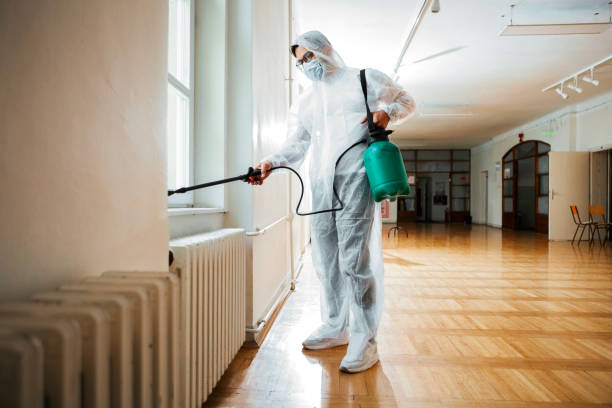 Best Termite Control Services  in Mentone, CA