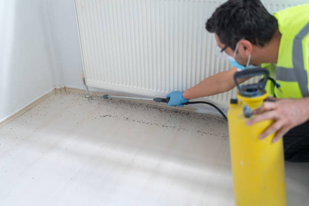 Best Pest Inspection Near Me  in Mentone, CA